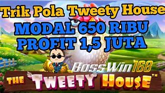 The Tweety House Slot Hari Ini Live Streaming Bola Indonesia